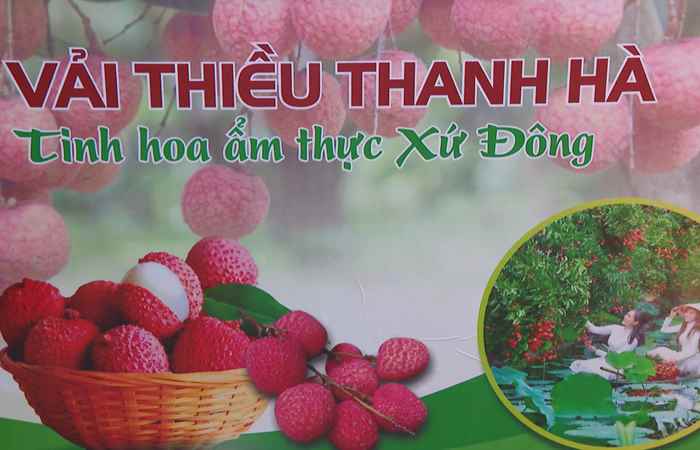 Sóc Trăng Ngày mới (17-06-2024)