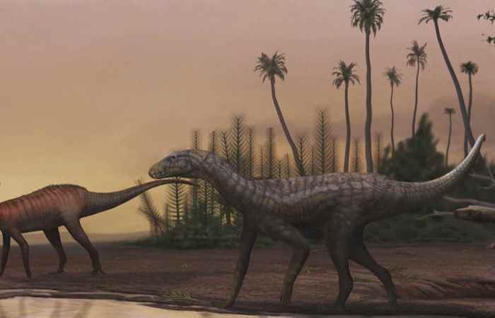 Sóc Trăng ngày mới (17-10-2024)