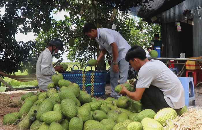 Sóc Trăng Ngày mới (19-06-2024)