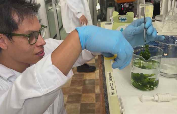 Sóc Trăng ngày mới (19-10-2024)