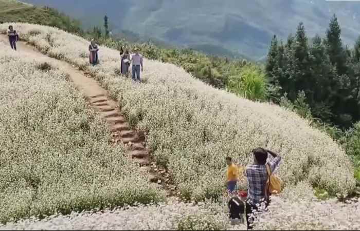 Sóc Trăng ngày mới (23-11-2024)