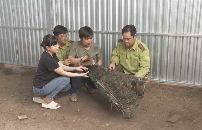 Sóc Trăng ngày mới (24-11-2024)