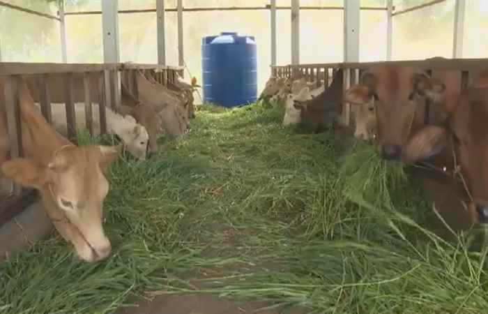 Sóc Trăng ngày mới (25-11-2024)