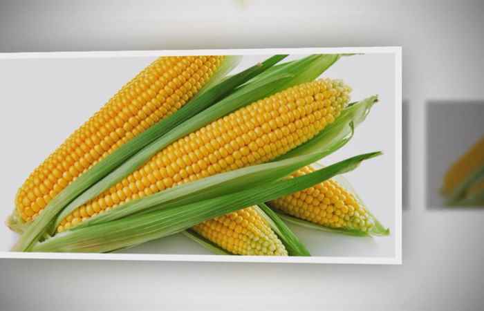 Sống khỏe 360 - Ngô: Món ăn dân dã phòng trị nhiều bệnh (04-08-2020)