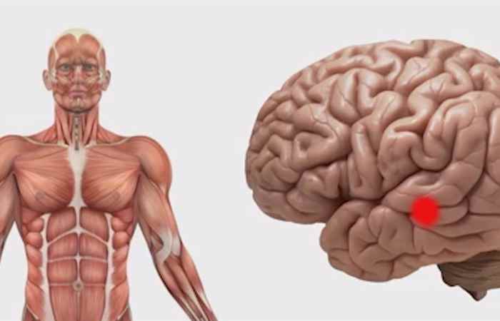 Sống khỏe 360 - Những điều không thể bỏ qua về u tuyến yên 31-03-2019