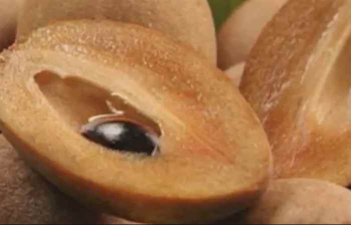 Sống khỏe 360 - Hồng Xiêm - Kho thuốc quý chữa nhiều bệnh 17-04-2019