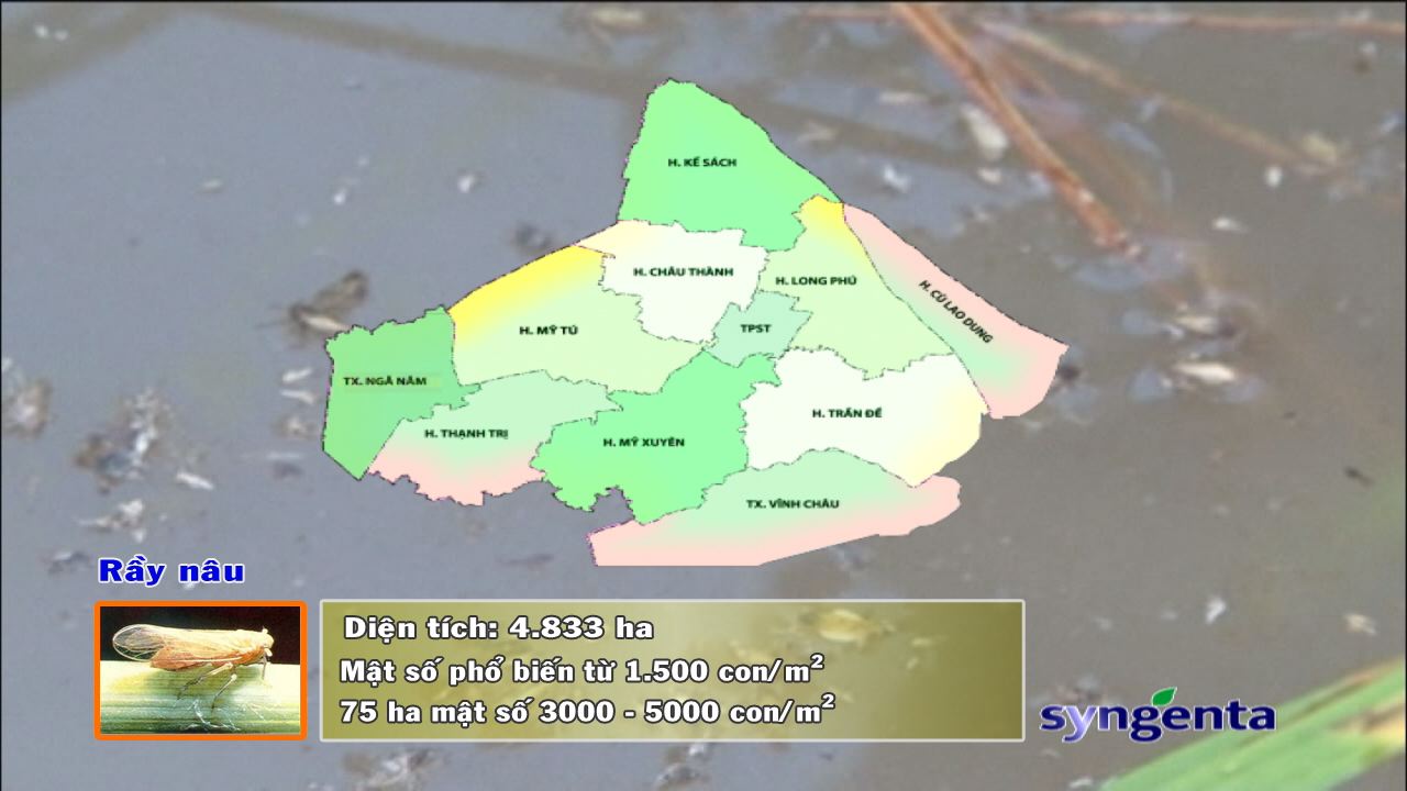 Thông tin dịch hại Nông nghiệp 10-08-2016