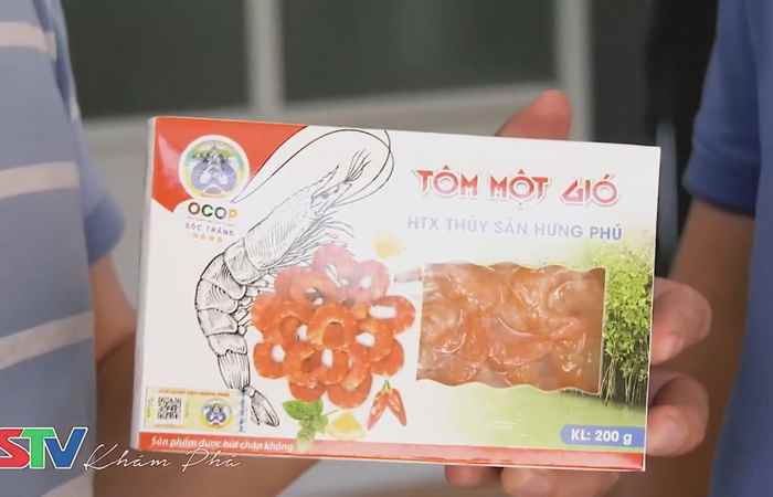 STV khám phá - Cù Lao Dung du ký - Tôm một gió