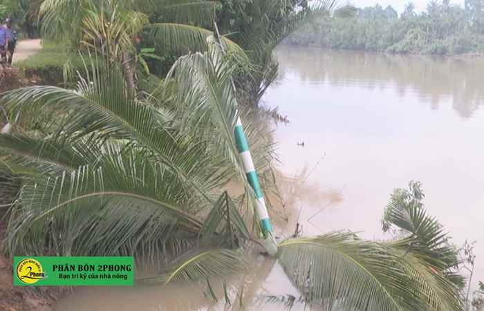 Thời sự chiều 21-07-2020