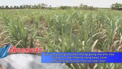 Thời sự Khmer 07-05-2016