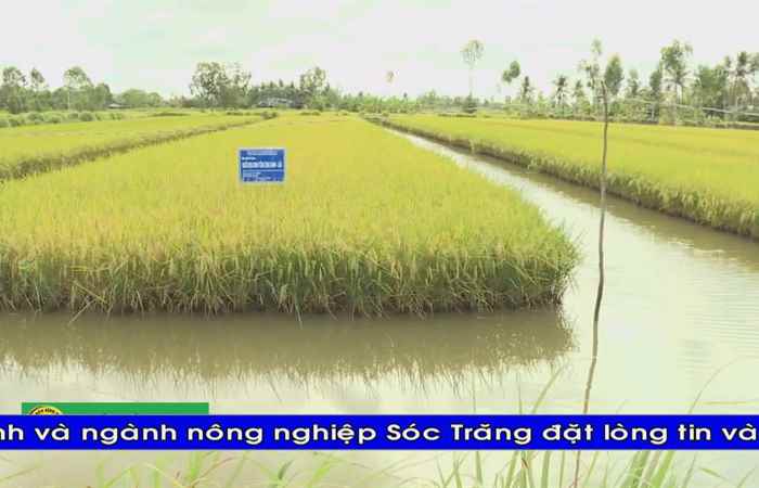 Thời sự Khmer (15-11-2019)