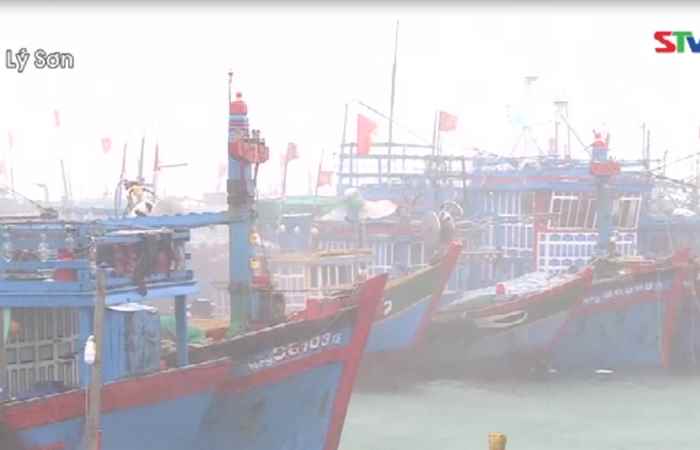 Thời sự trưa (01-08-2020)