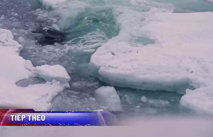 Thời sự trưa 01-11-2020