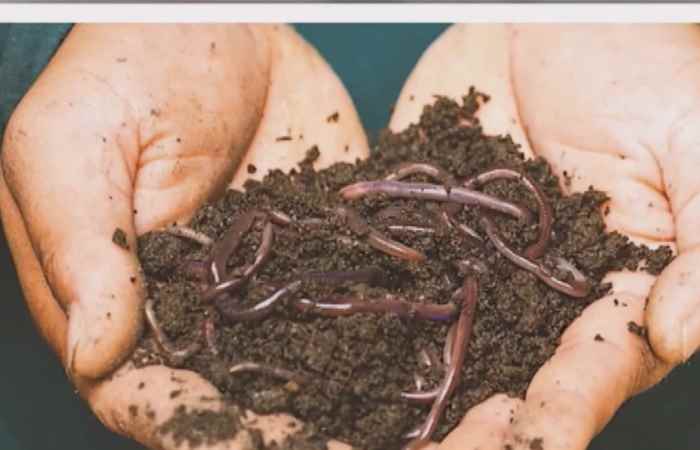 Thời sự trưa (03-09-2021)