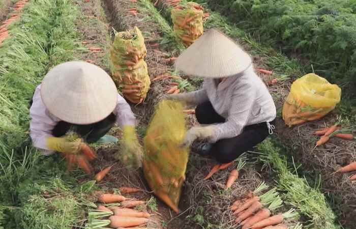 Thời sự trưa 04-09-2021