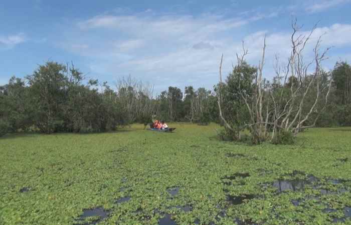 Thời sự trưa (05-02-2020)