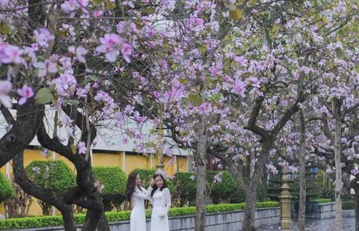 Thời sự trưa (07-02-2020)