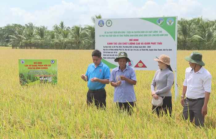 Thời sự trưa (07-10-2024)
