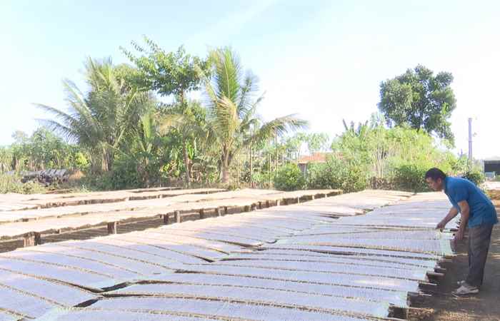 Thời sự trưa (09-01-2024)