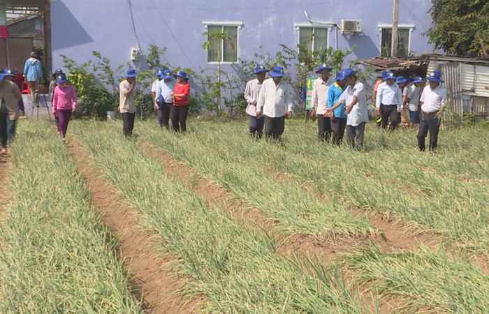 Thời sự trưa (10-12-2019)