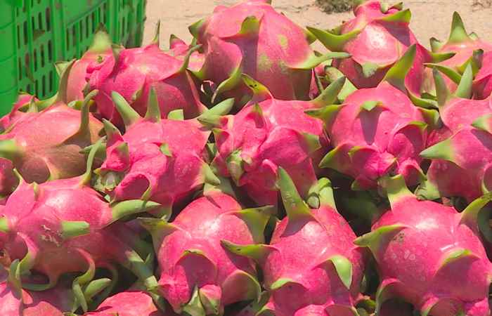 Thời sự trưa (12-10-2021)