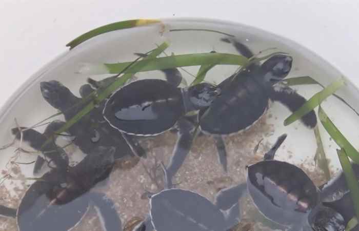 Thời sự trưa (14-10-2021)