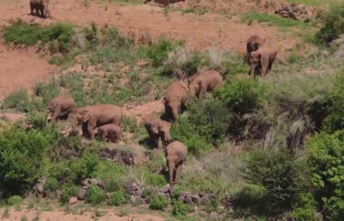 Thời sự trưa (16-10-2021)