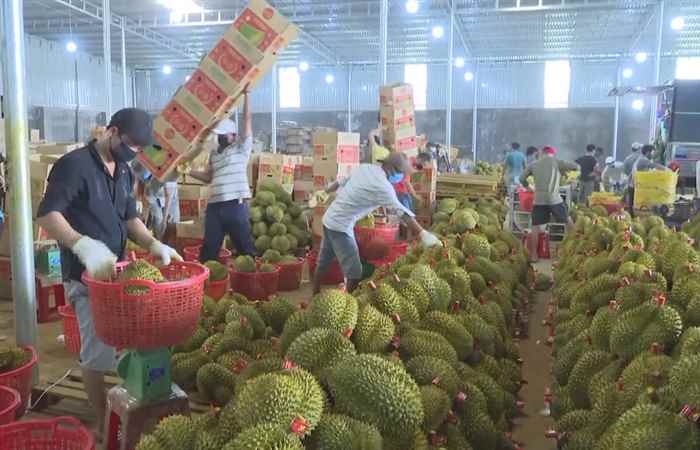 Thời sự trưa (18-02-2024)