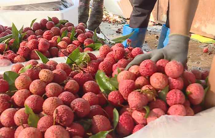 Thời sự trưa 18-12-2019