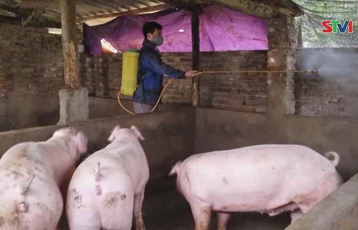 Thời sự trưa (23-10-2021)