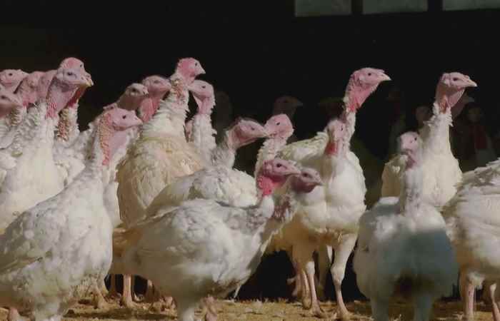  Thời sự trưa (26-11-2022)