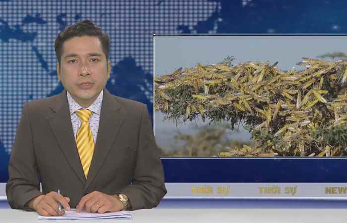 Thời sự trưa (27-07-2020)