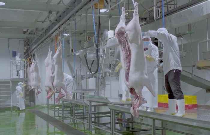 Thời sự trưa (29-07-2020)