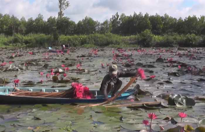 Thời sự trưa (29-08-2021)