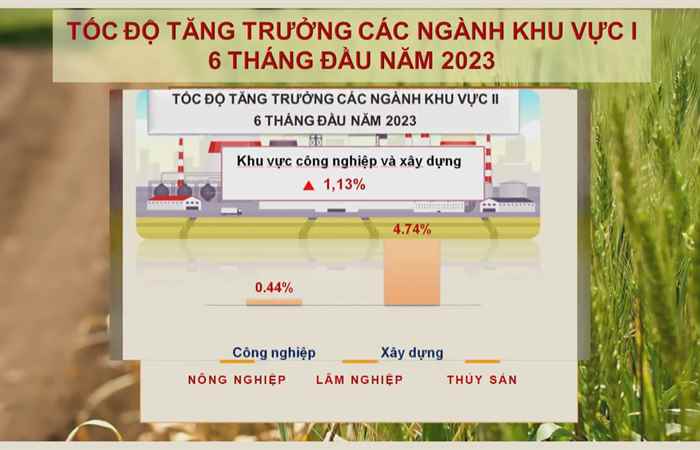 Thời sự trưa (30-06-2023)