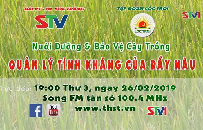 Thông báo tọa đàm Lộc trời - Quản lí tính kháng của rầy nâu