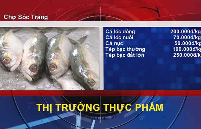 Thông tin Dịch vụ, Thị trường (10-04-2022)