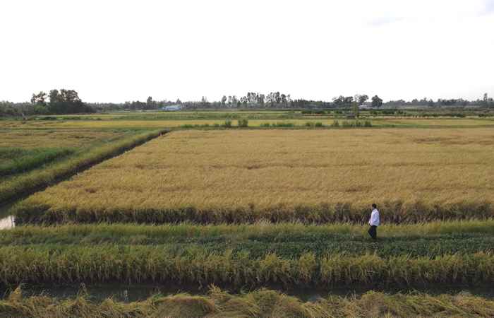 Thuận Thiên (16-01-2024)