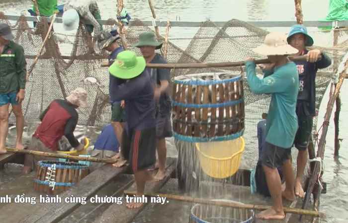 Tín hiệu vui cho người nuôi cá tra  