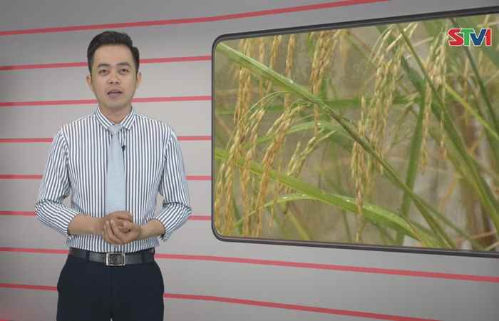 Trang tin địa phương 03-03-2019