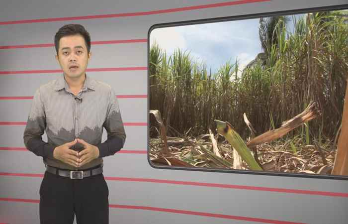 Trang tin địa phương huyện Cù Lao Dung 17-02-2019