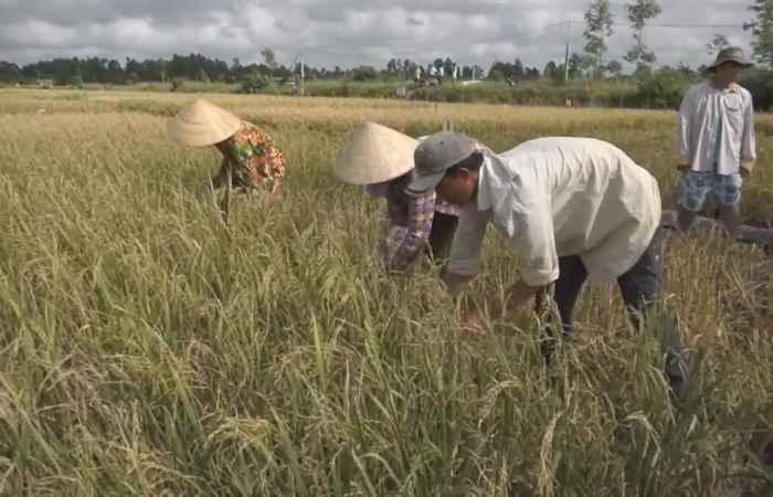 Trang tin địa phương huyện Mỹ Xuyên 03-03-2019