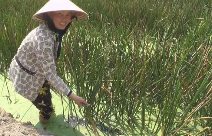 Trang tin địa phương huyện Thạnh Trị 03-03-2019