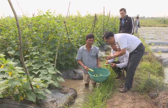 Trang tin địa phương Huyện Thạnh Trị