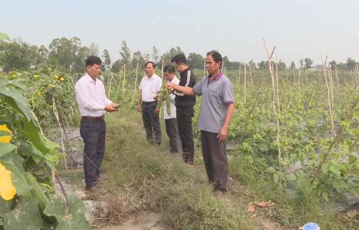 Trang tin địa phương Huyện Thạnh Trị ( 21-02-2021)