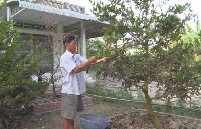 Trang tin địa phương thị xã Ngã Năm