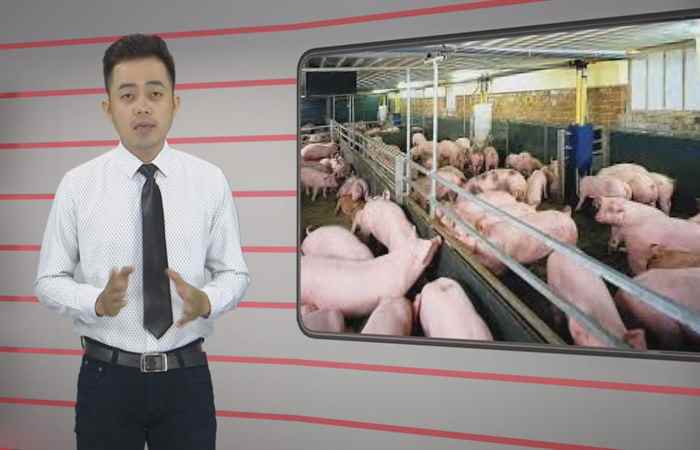 Trang tin địa phương thị xã Ngã Năm 24-02-2019