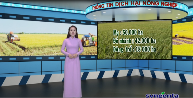 Thông tin dịch hại Nông nghiệp 29-06-2016