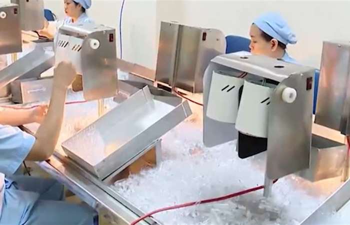 Việt Nam và Pháp hợp tác sản xuất vaccine