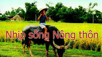   Nhịp sống Nông thôn (12-06-2023)